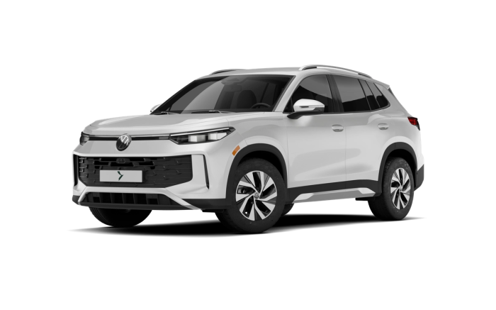 VW Tiguan Life 2,0 TDI - Diesel - Automat 7st. - 4x2 na operativní leasing